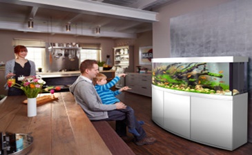 Akvarijumi za ribice – stakleni svetovi punih života