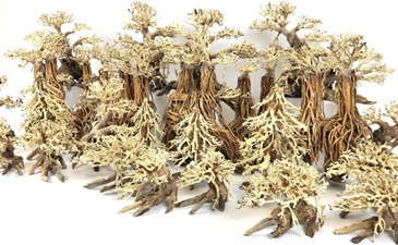 Drvo za akvarijum – prirodna dekoracija i sklonište