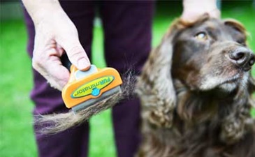 Furminatori za pse – nega krzna bez viška dlake