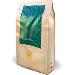 Essential Stamina Large Breed 10kg