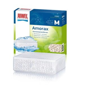 Juwel Amorax