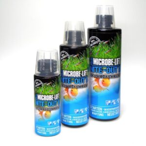 Arka Nite-Out II Starter bacteria