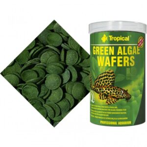 Tropical Green Algae Wafers
