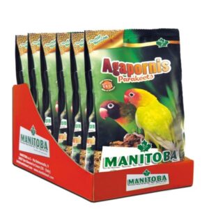 Manitoba Agapornis Parakeets