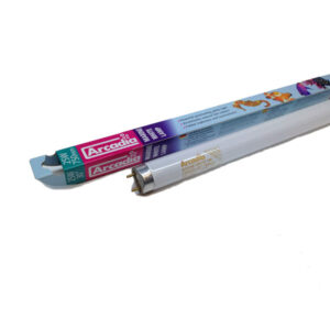 Arcadia Marine White T8