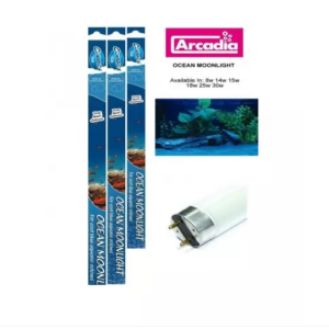 Arcadia Classic Ocean Moonlight T8