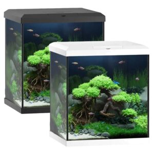 Juwel Vio Cube 54 akvarijum